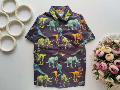 5,6 лет, рост 116 Рубашка в динозаврах с носорогами