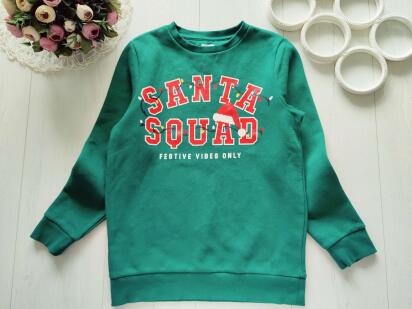 10,11 років, зріст 146 Світшот на флісі