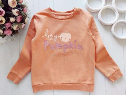 6,7 років, зріст 116,122 Світшот на флісі