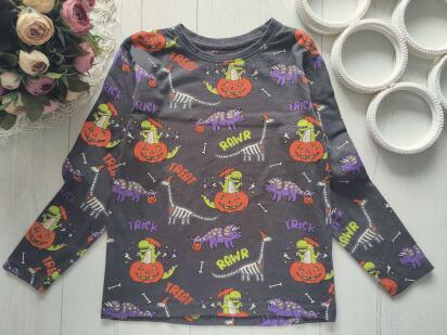 6,7 лет, рост 122 Реглан с тыквой и динозаврами