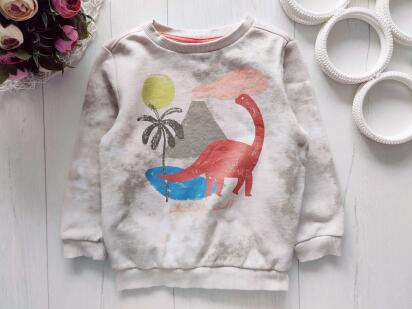 1-2 года, рост 80-92 Свитшот на флисе динозавр