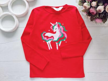 4,6 років, зріст 110,116 Реглан з поні