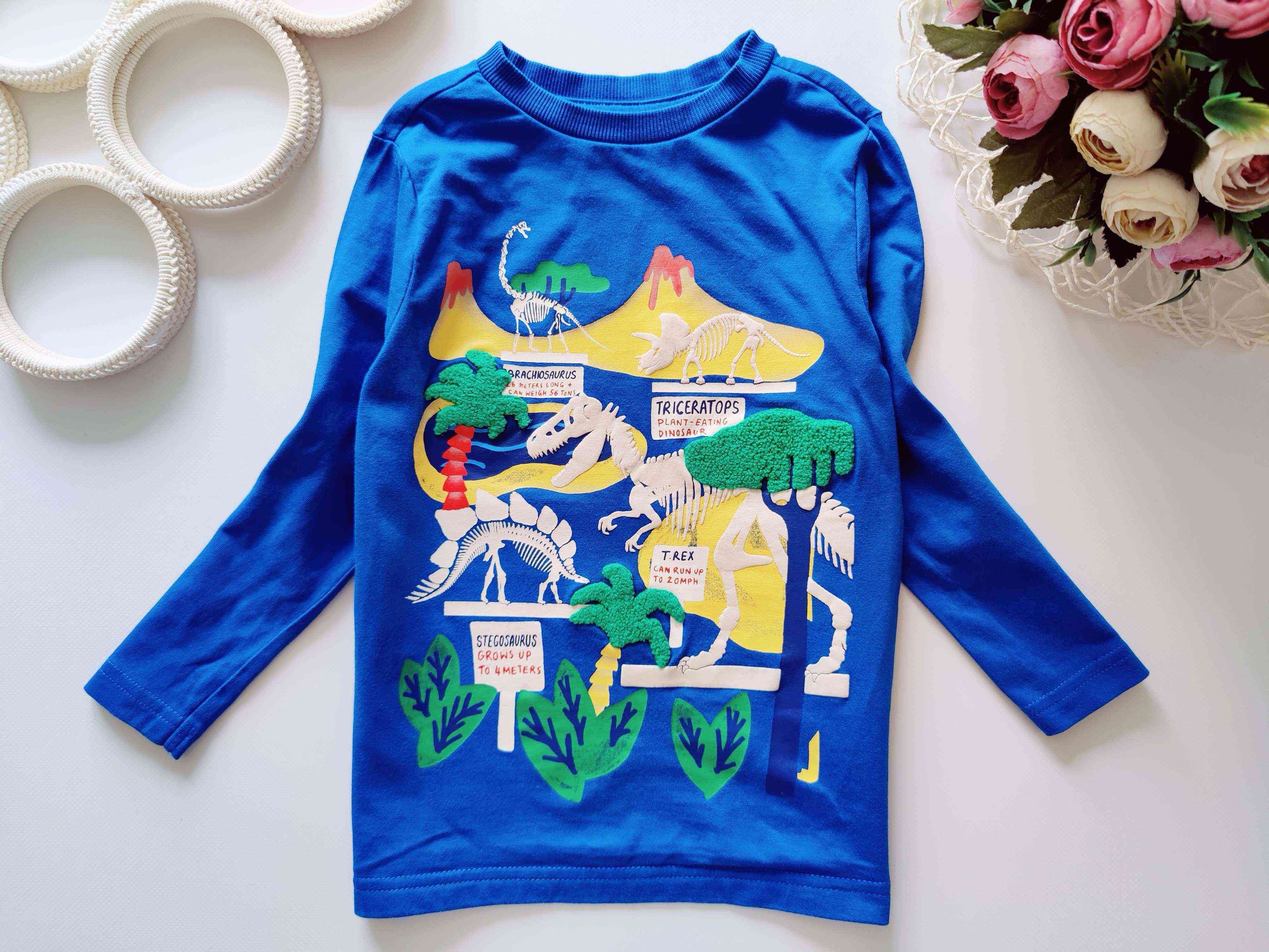 3,4 роки, зріст 104 Лонгслів з динозаврами