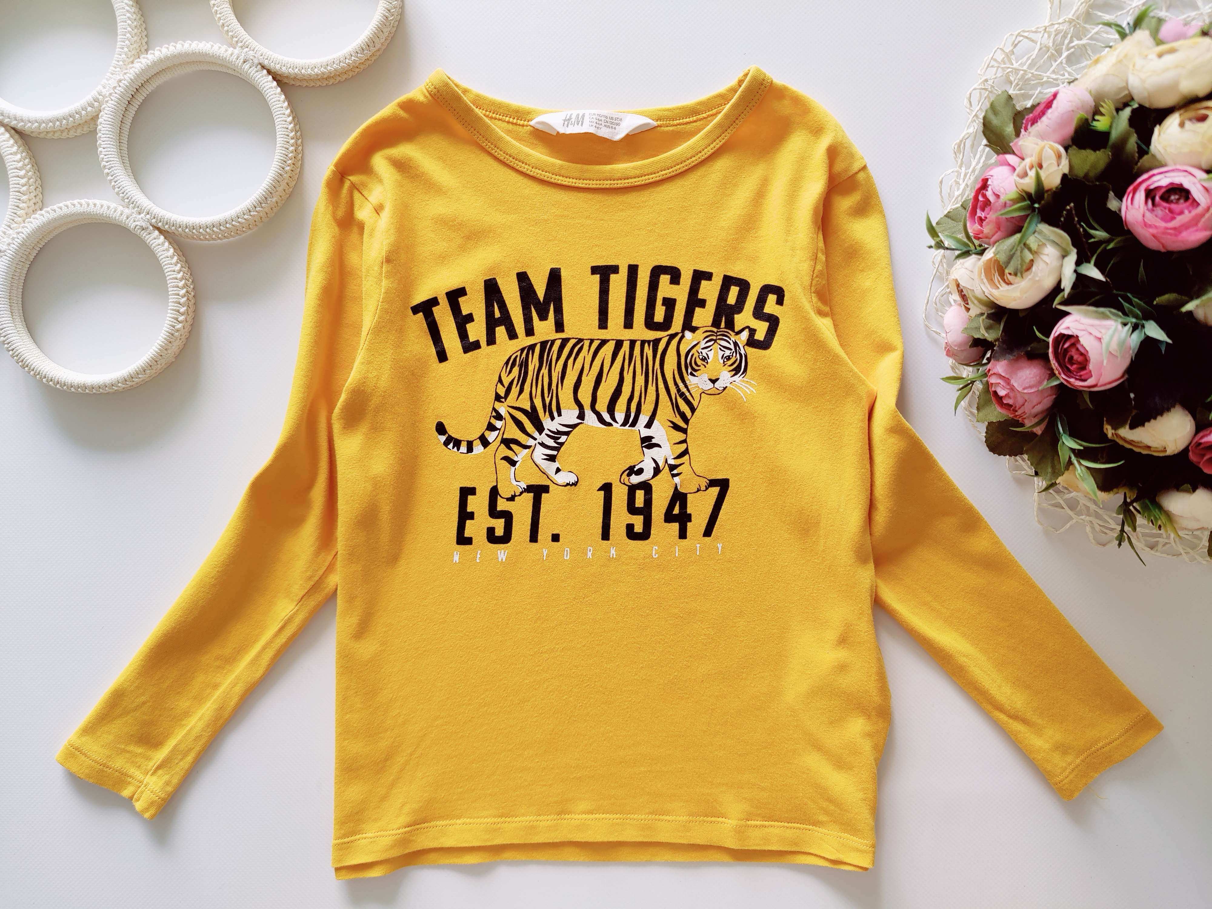 4,6 років, зріст 110,116 Реглан з левом