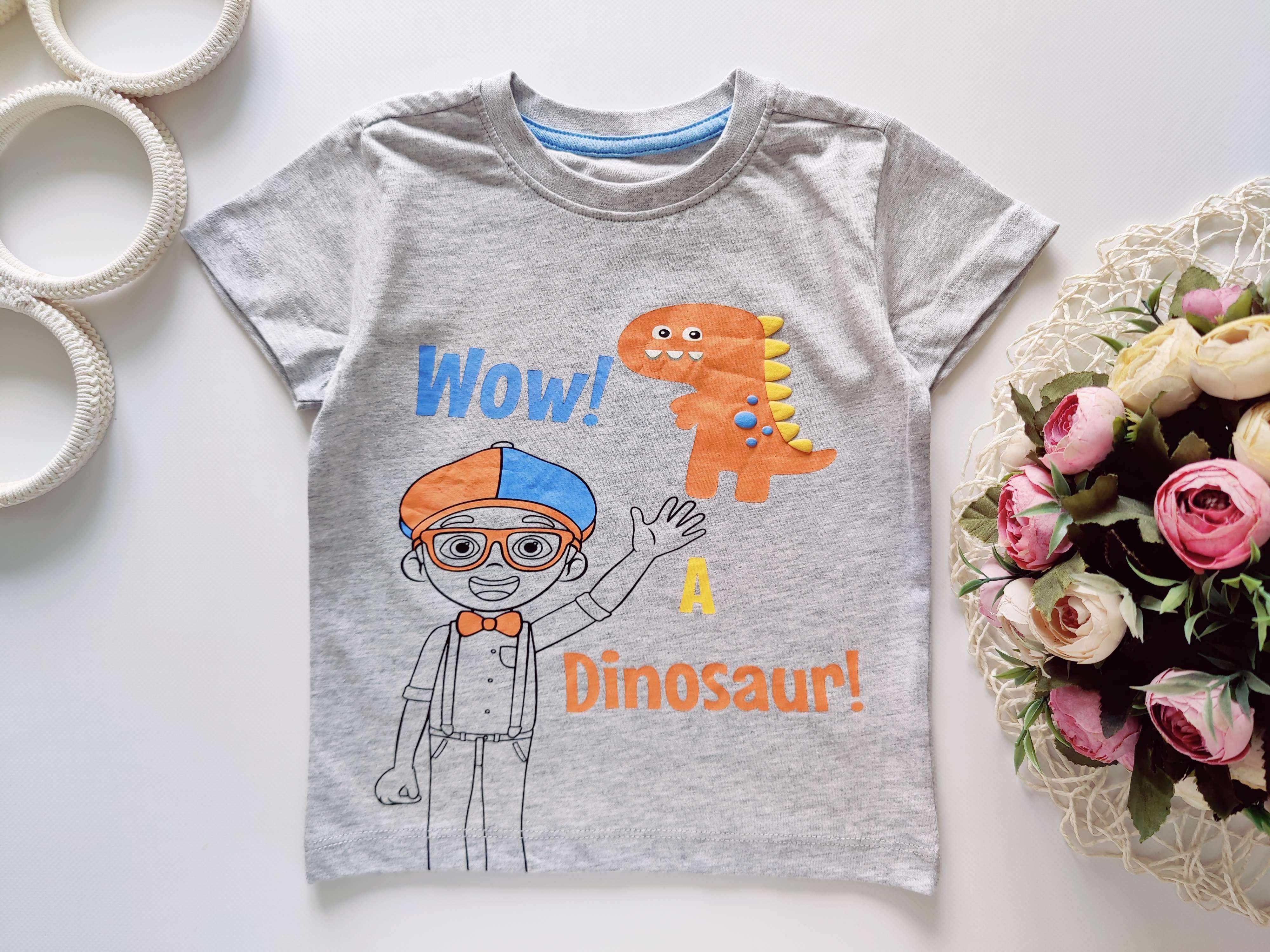 18,23 міс, Нова футболка з динозавром