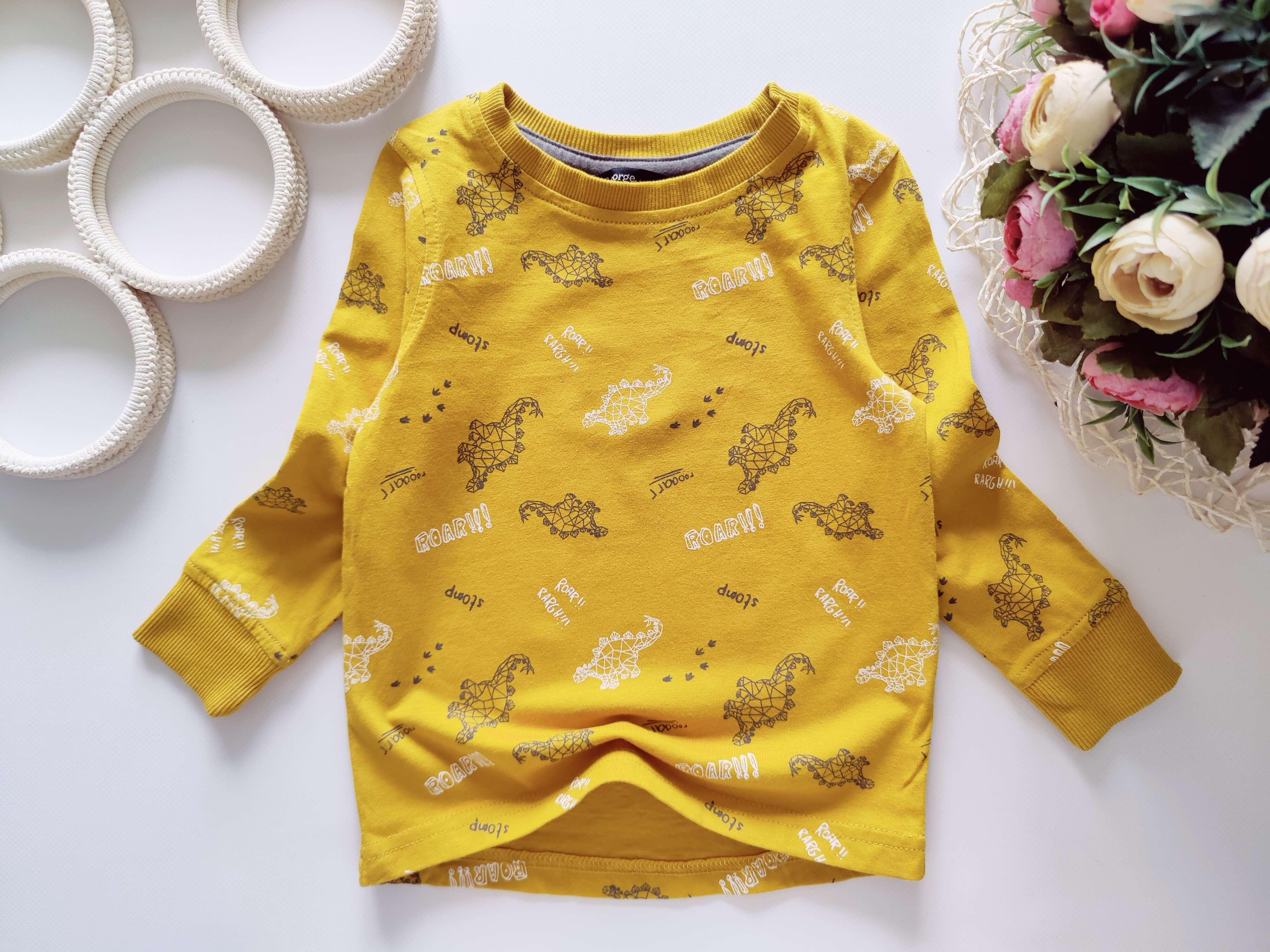 12,18 міс, зріст 80,86 Реглан у динозаврах