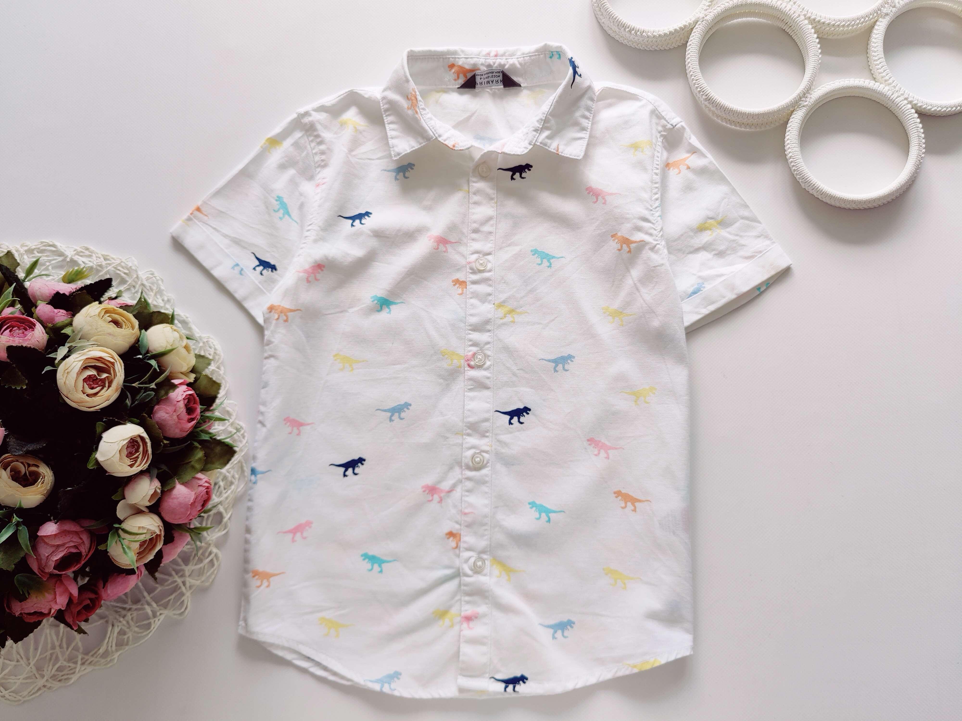6,7 років, зріст 122 Біла сорочка в динозаврах