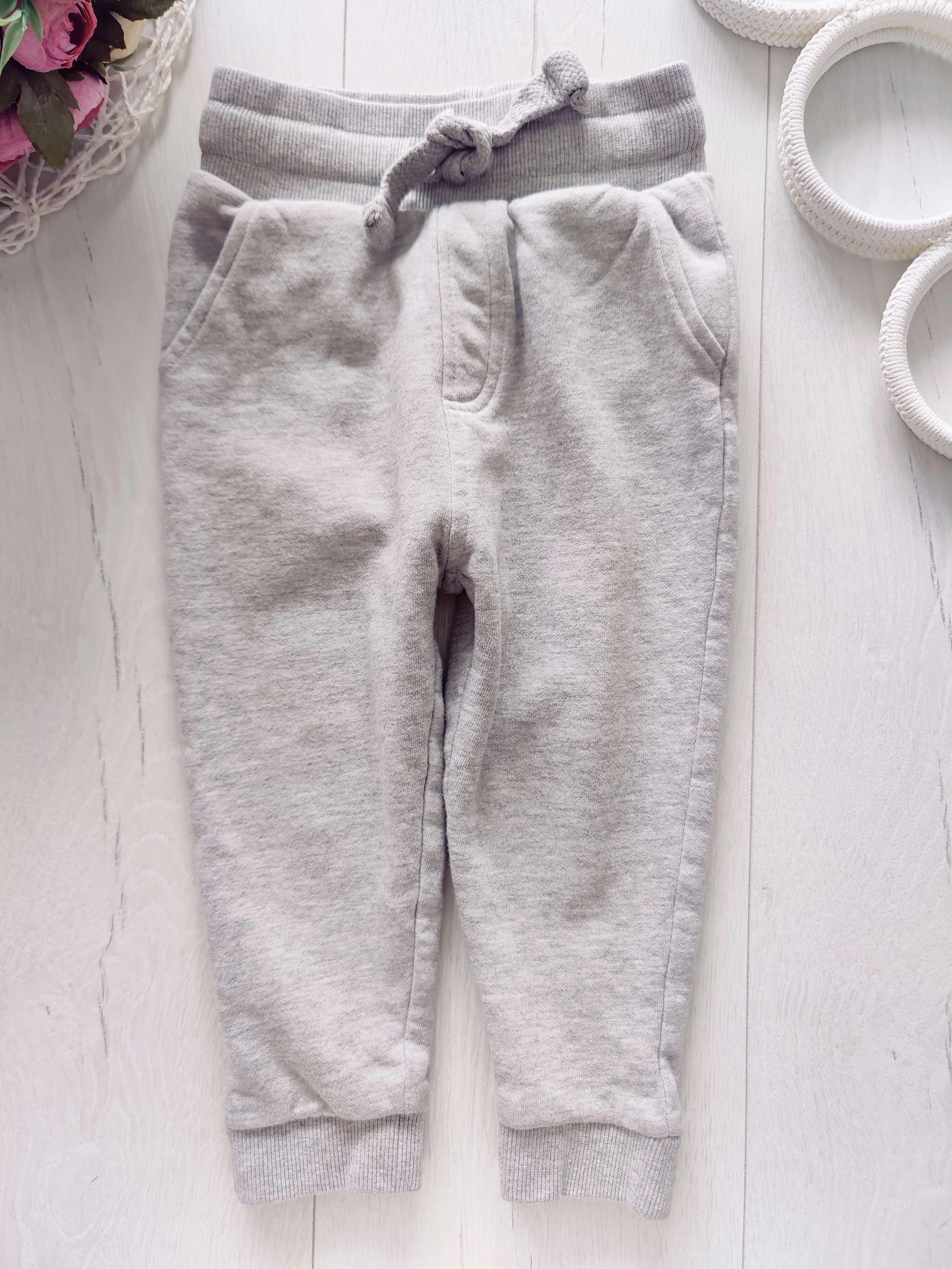 2,3 роки, зріст 92,98 Теплі спортивні штани з начосом