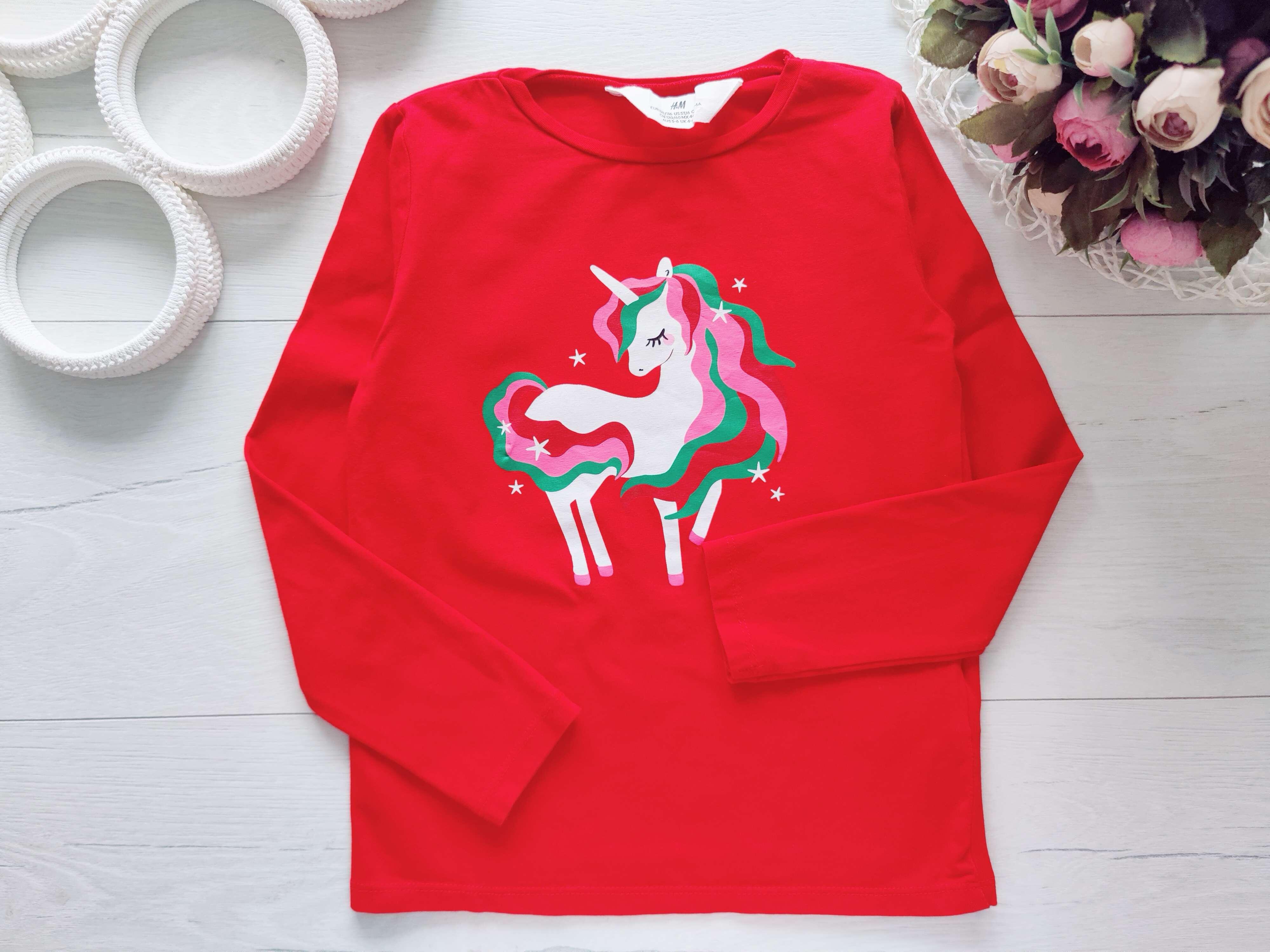 4,6 лет, рост 110,116 Реглан с пони