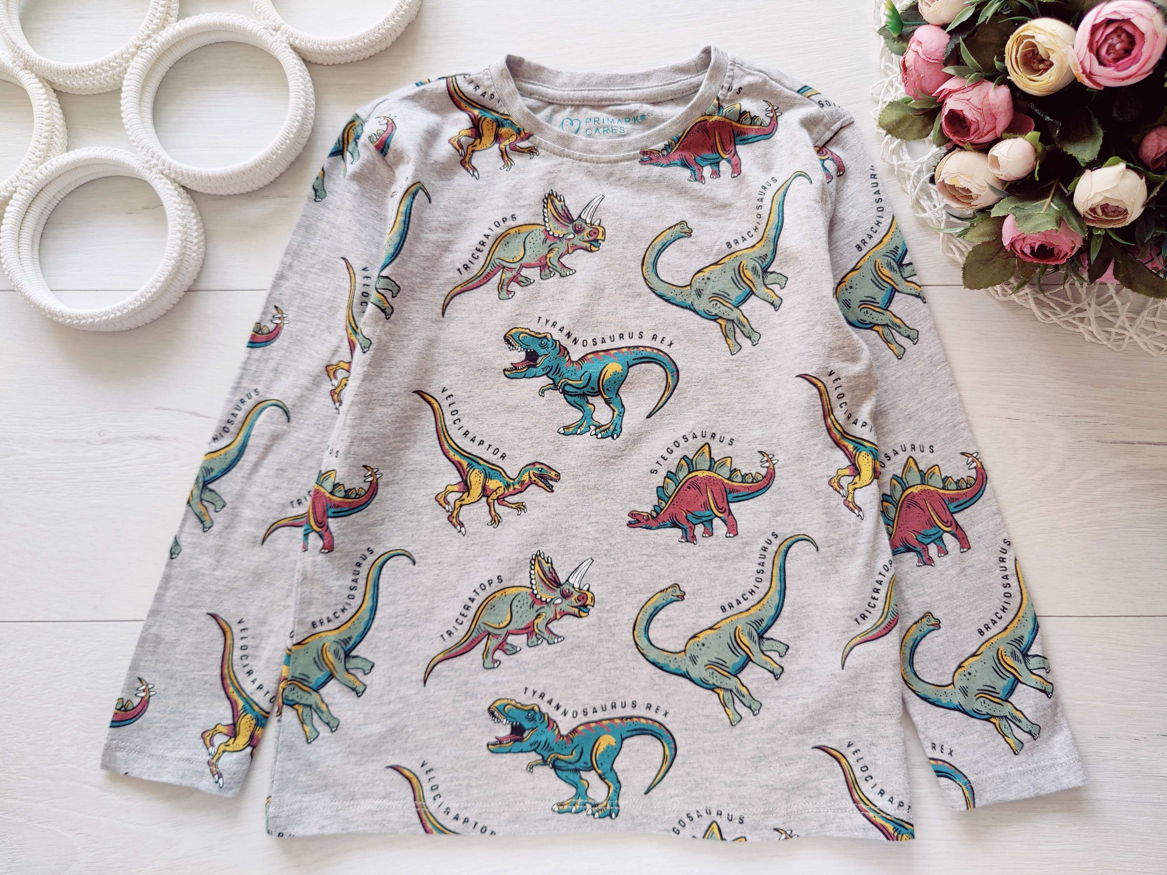 5,6 років, зріст 116 Реглан у динозаврах