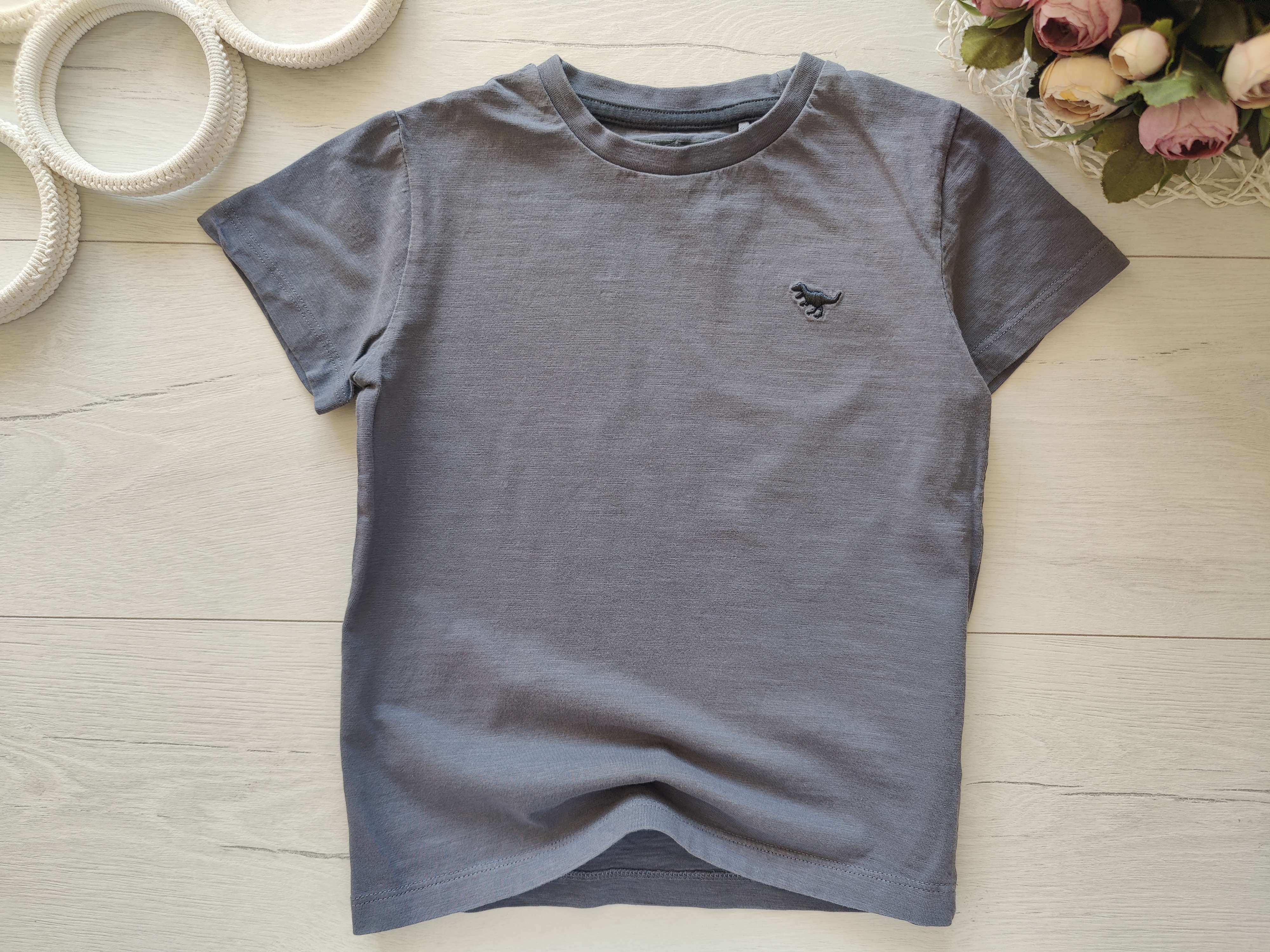 4,5 років, зріст 110 Футболка з динозавриком