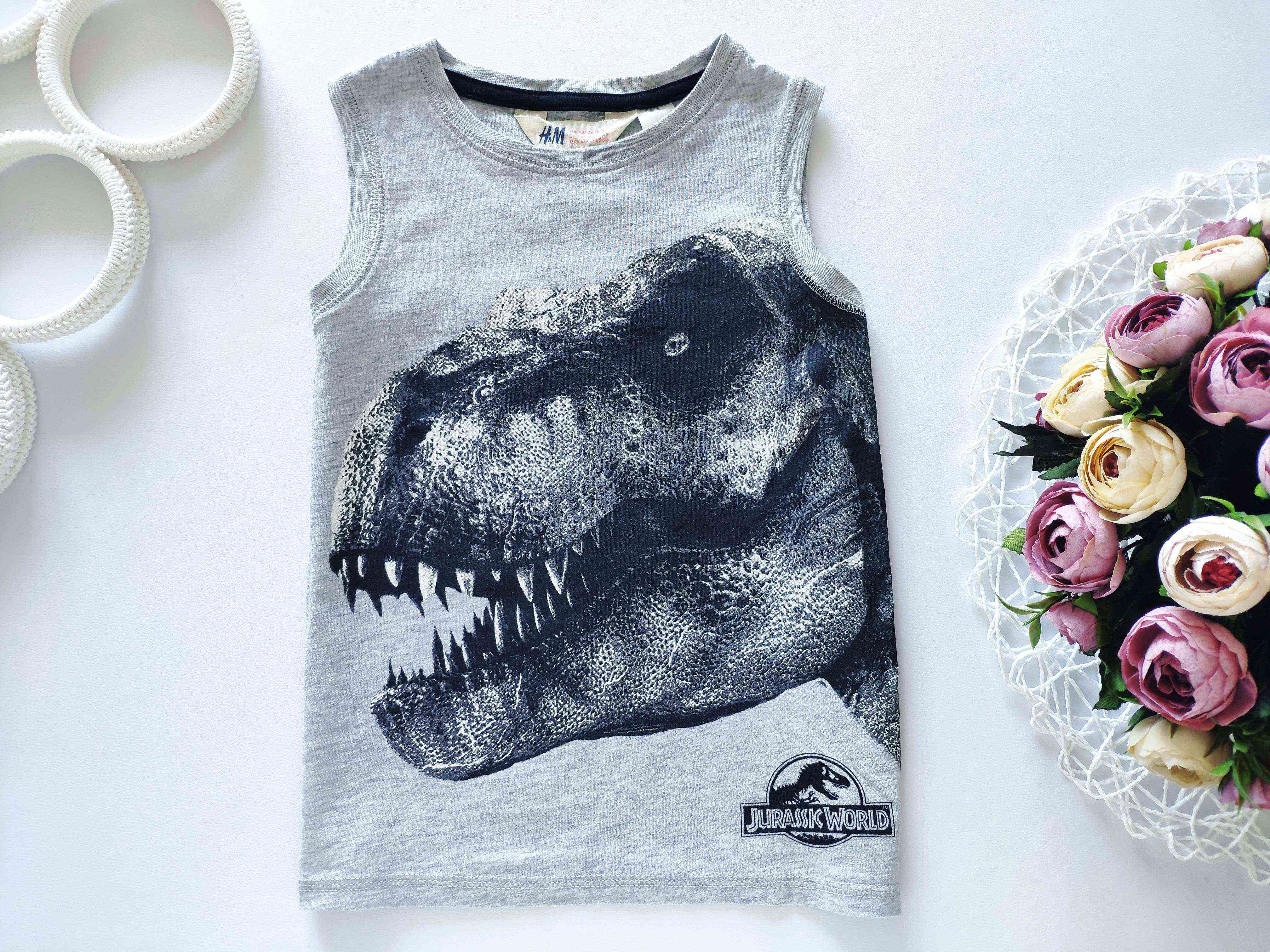 2,4 роки, зріст 98,104 Майка з динозавром