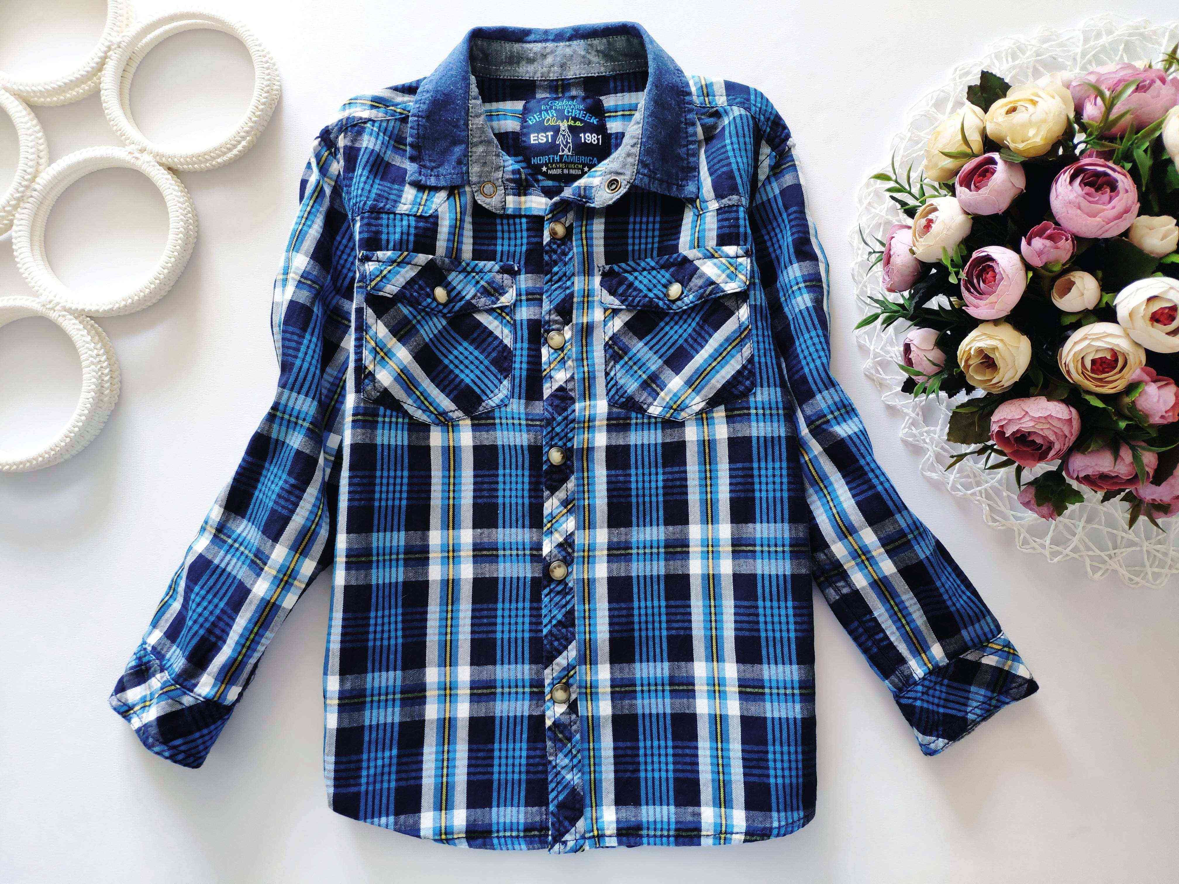 5,6 лет, рост 110,116 Рубашка в клетку