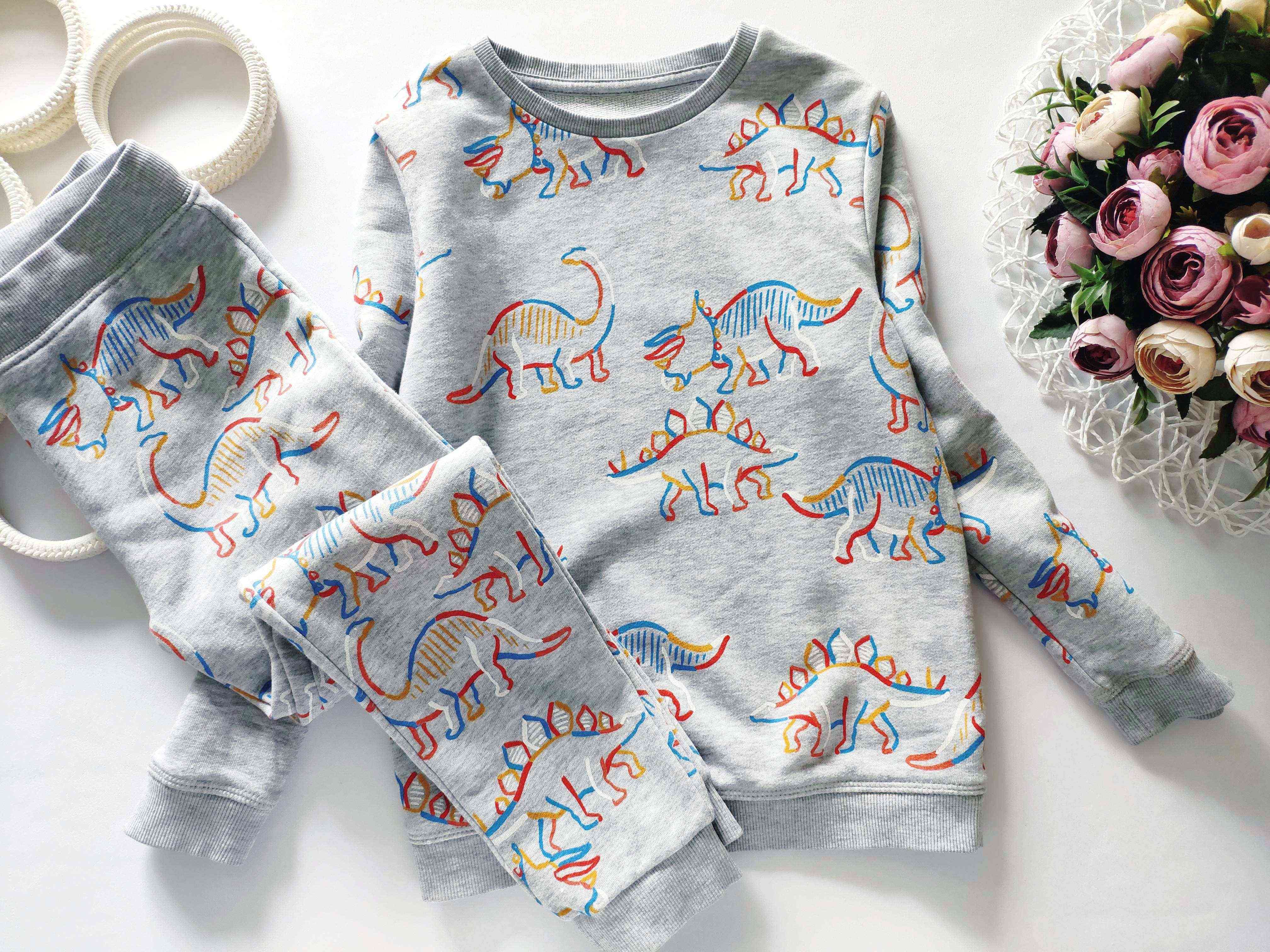 5,6 років, зріст 116 Комплект у динозаврах