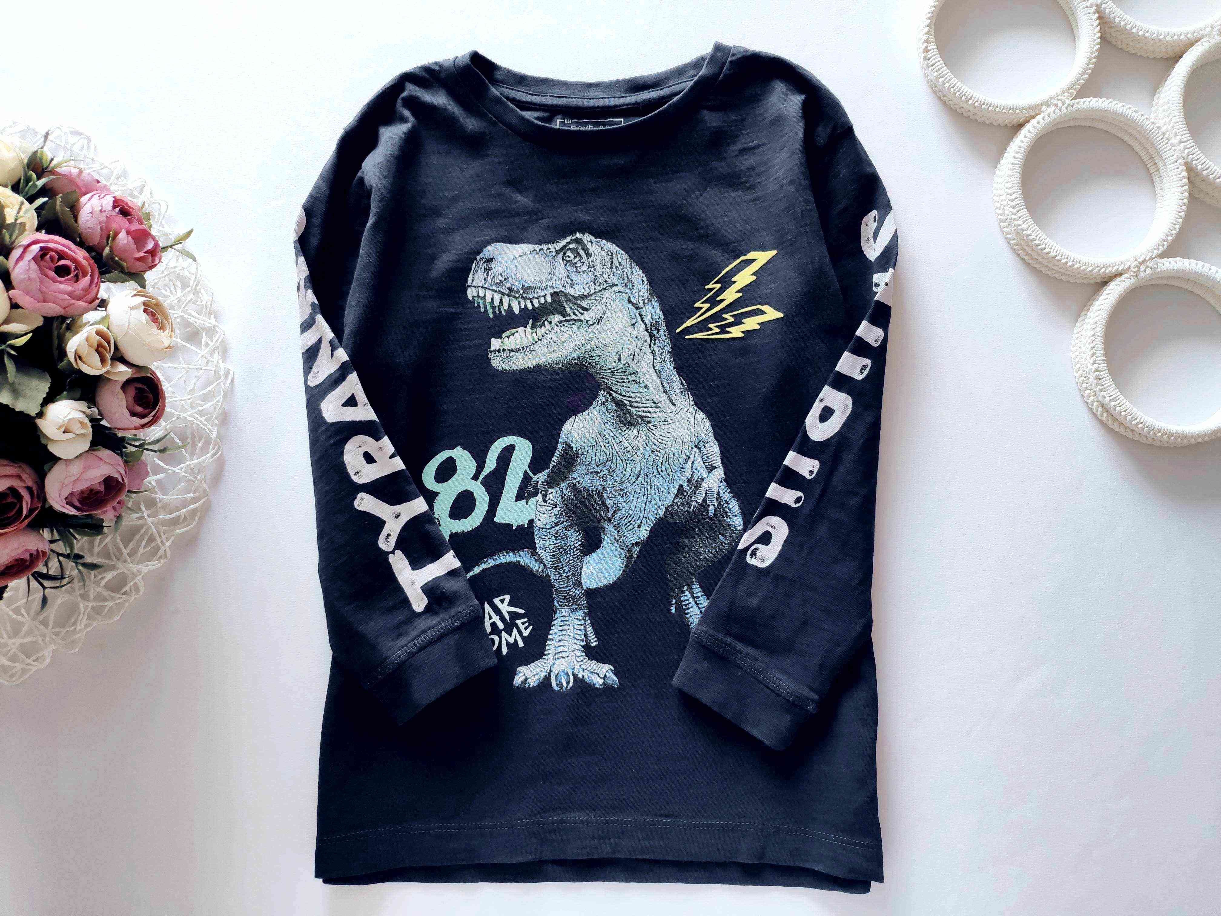 5 лет, рост 110 Лонгслив с динозавром