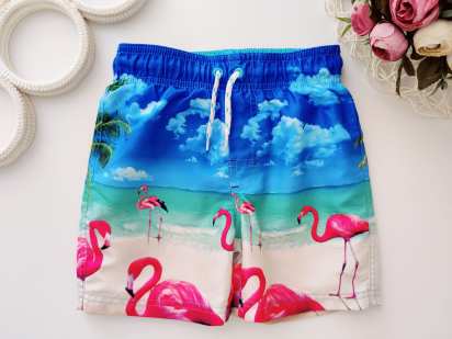 3,4 роки, зріст 104 Шорти з фламінго