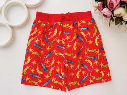 4 роки, зріст 104 Шорти з ящирицями