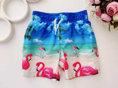 2,3 роки, зріст 98 Яскраві шорти з фламінго