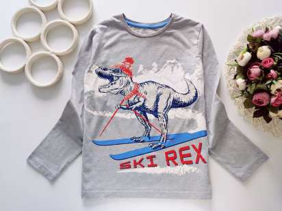 10,11 років, зріст 140,146 Реглан з динозавром