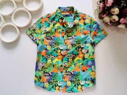 3,4 роки, зріст 104 Літня сорочка