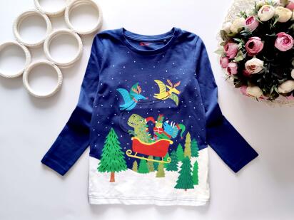 5,6 років, зріст 110,116 Новорічний реглан