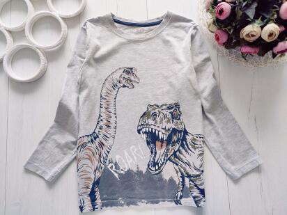 9.10 років, зріст 134,140 Реглан з динозавром