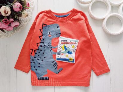 2,3 роки, зріст 92,98 92 Реглан з динозавром