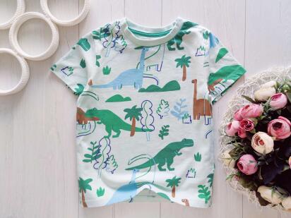 5,6 років, зріст 116 Футболка в динозаврах