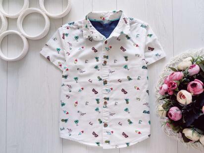 4,5 лет, рост 110 Летняя рубашка