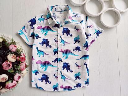 3,4 года, рост 104 Красивая летняя белая рубашка в динозаврах