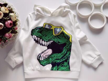 5 років, зріст 110 Нова легка кофта з динозавром