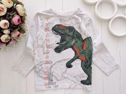 4 роки, зріст 104 Лонгслів із динозавром