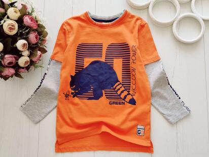 5,6 років, зріст 110,116 Лонгслів для хлопчика