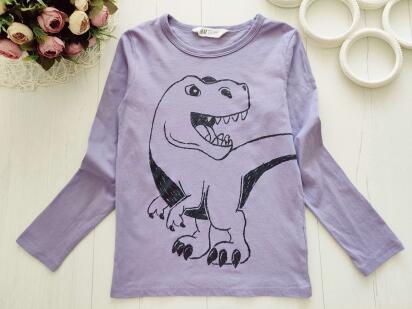 6,8 років, зріст 122,128 Реглан динозавр