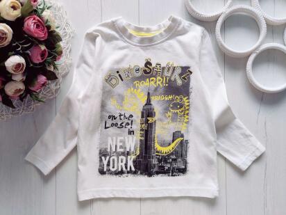 2,3 роки, зріст 92,98 Реглан з динозавром