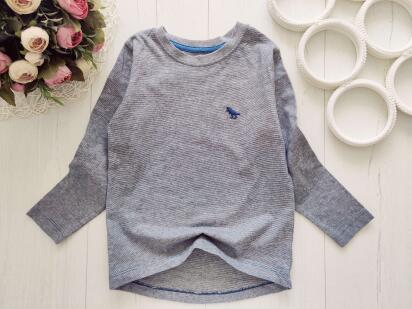 3,4 роки, зріст 98,104 Новий реглан із динозавриком