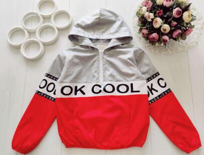 9,10 років, зріст 134,140 Вітрівка худі