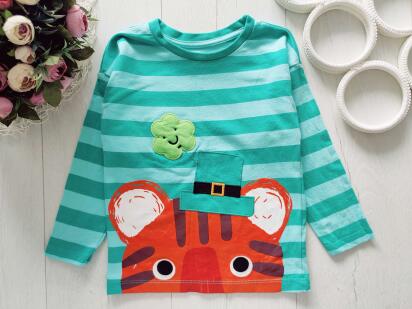 3,4 роки, зріст 98,104 Реглан для хлопчика