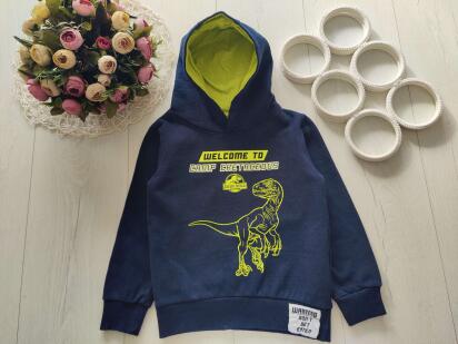 6 років, зріст 116 Світшот на флісі