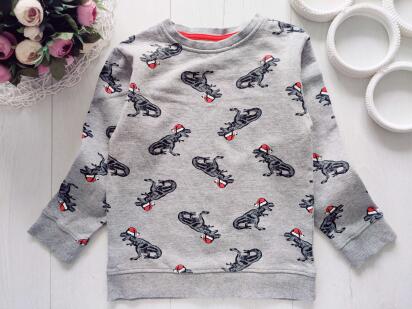 5,6 років, зріст 110,116 Кофта на флісі