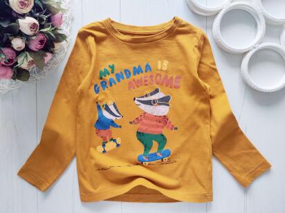 3,4 роки, зріст 98,104 Прикольний реглан