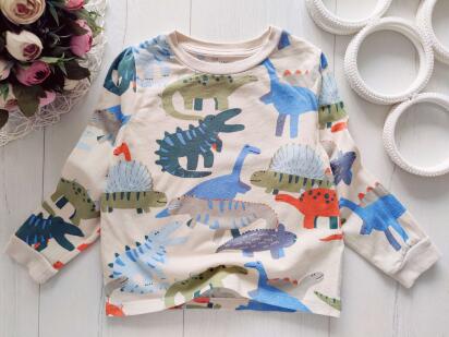 3,4 роки, зріст 104 Реглан у динозаврах