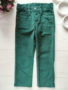 4 роки, зріст 104 Штани дитячі мікровельвет