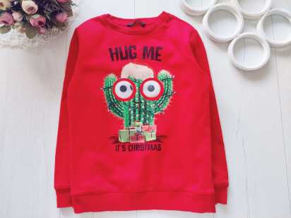 8,9 років, зріст 128,134 Світшот на флісі кактус