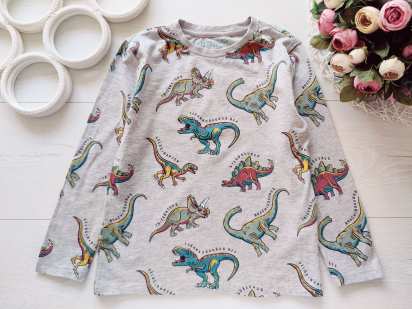 5,6 років, зріст 116 Реглан у динозаврах