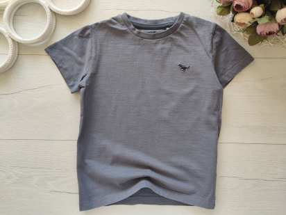 4,5 років, зріст 110 Футболка з динозавриком