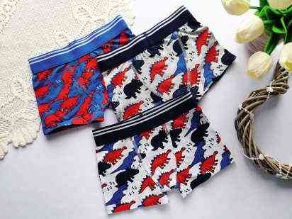 3-4 роки, зріст 98-104 Трусики шортами для хлопчика