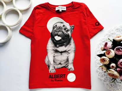 5,6 років, зріст 110,116 Футболка із собакою