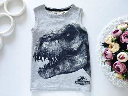2,4 роки, зріст 98,104 Майка з динозавром