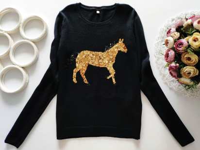 10,11 років, зріст 146 Світер з конем